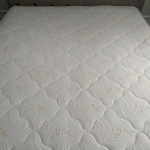 Mattress after deep cleaning in Tampa