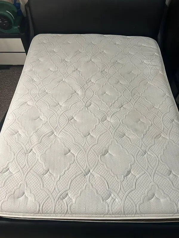 Mattress after professional cleaning in Tampa