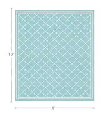 Area Rug Cleaning (10 x 8 ft)