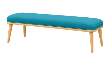 Bench deep steam cleaning in Tampa