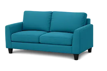 Couch Cleaning (2 Seats)