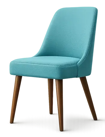 Chair Cleaning