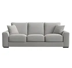 Couch cleaning service in Tampa